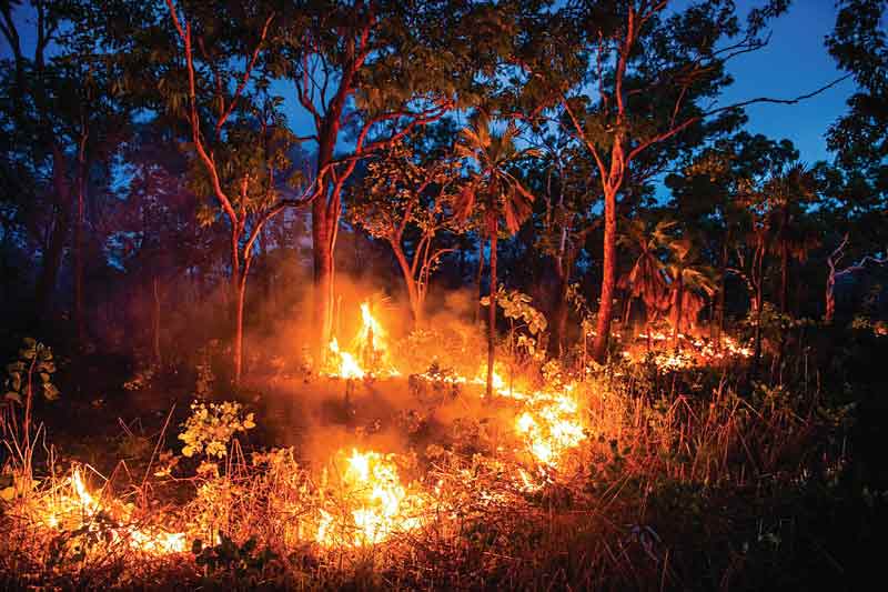 आग को बुझाने के लिए शनिवार को करीब 19 हजार गैलन पानी का छिड़काव किया गया। वन विभाग के अनुसार रविवार को करीब दर्जन भर जगहों पर आग लगी हुई है।