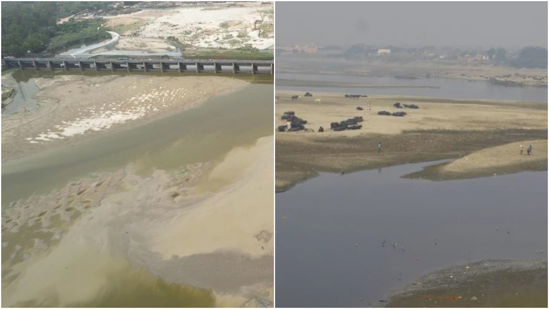 यमुना का जलस्तर दिल्ली के कई इलाकों में पानी की किल्लत जारी | Total tv, Delhi,