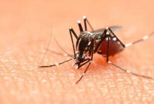 Dengue news: बरसात आते ही मलेरिया से लेकर डेंगू का सताने लगा खतरा, Dengue,