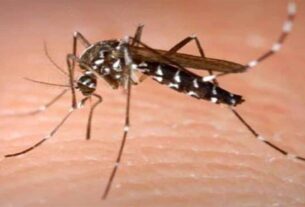 Dengu case, दादरी जिले में मारने लगा डेंगू का डंक,डाक्टरों ने लोगों से की सावधानी...