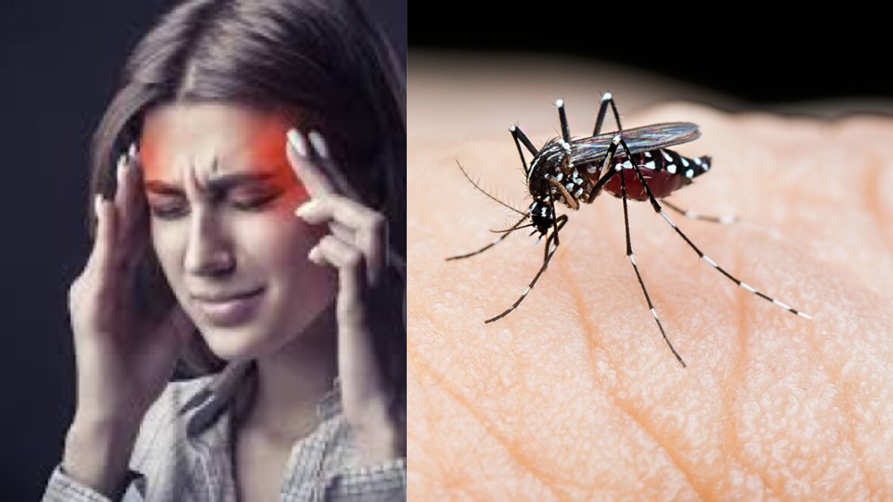 Dengue se kaise bache, बदलते मौसम में बढ़ गया डेंगू का ग्राफ, इन लक्षण से....