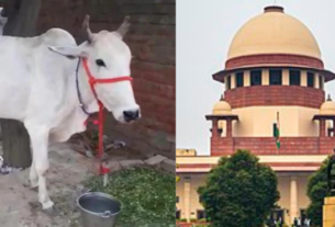 India national animal, गाय को राष्ट्रीय पशु घोषित करने से सुप्रीम कोर्ट का इनकार....