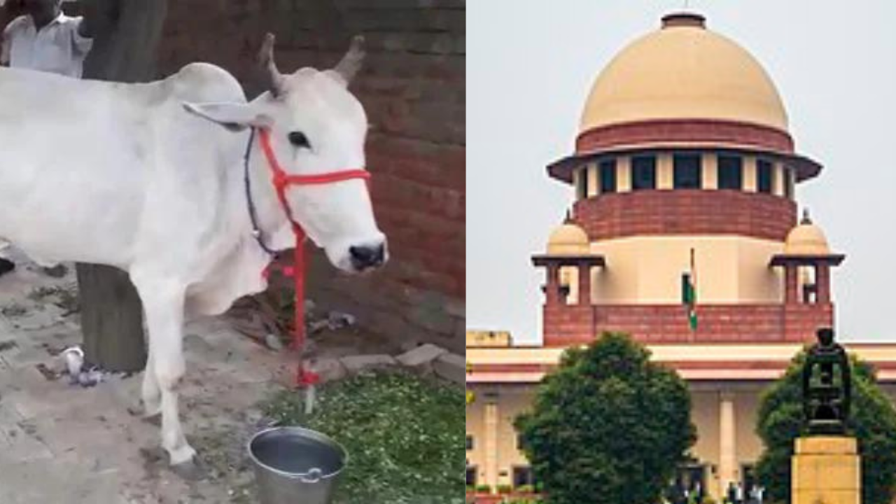 India national animal, गाय को राष्ट्रीय पशु घोषित करने से सुप्रीम कोर्ट का इनकार....