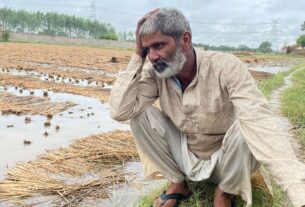 Uttarpradesh news, बारिश के बीच तबाही के और भी अनेकों मंज़र, किसान हुए.....