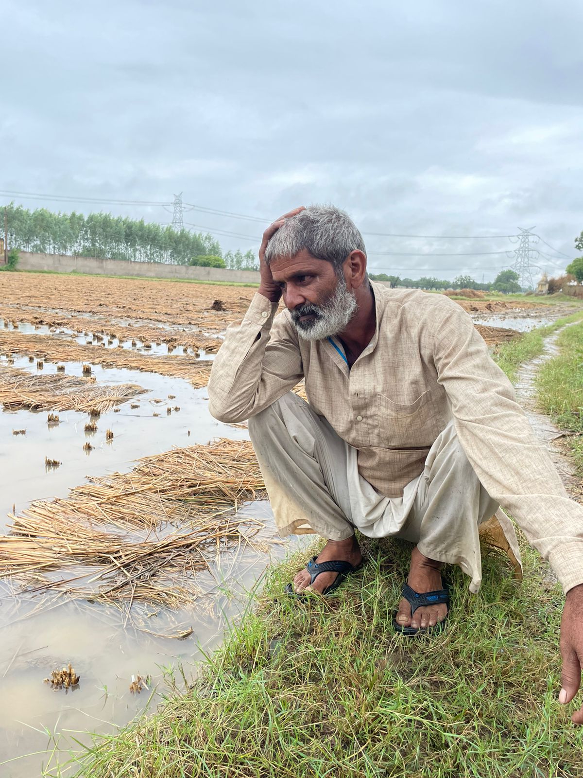 Uttarpradesh news, बारिश के बीच तबाही के और भी अनेकों मंज़र, किसान हुए.....