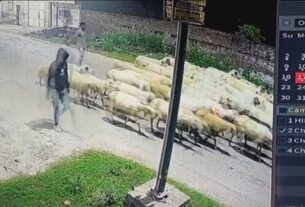 CCTV Viral video, चोरों की नायाब चोरी ने उड़ाए होश, CCTV में कैद हुई घटना......