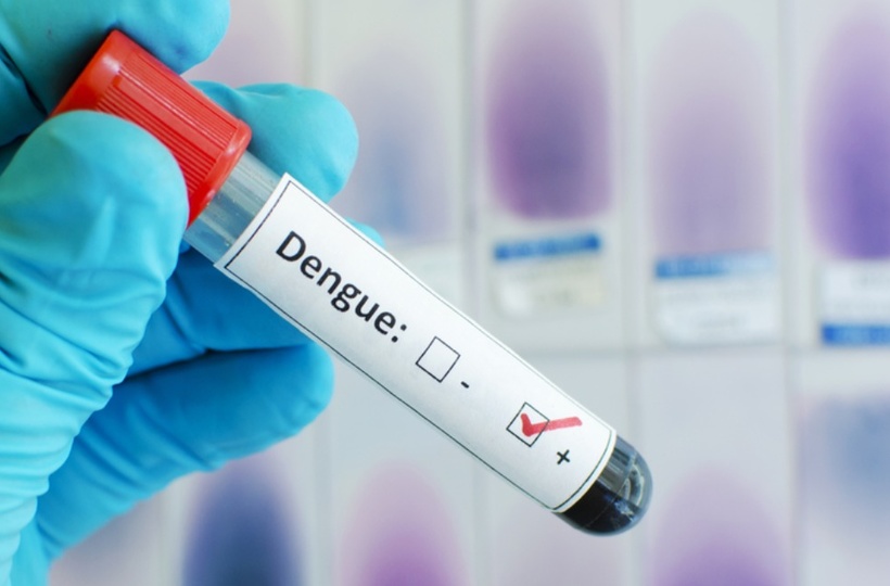 Ambala News Today, अंबाला में बढ़ा डेंगू का ग्राफ, स्वास्थ विभाग की बढ़ी चिंता.....