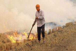 Today haryana news, नही थम रहा पराली जलाने का सिलसिला, प्रदूषित हवा से......