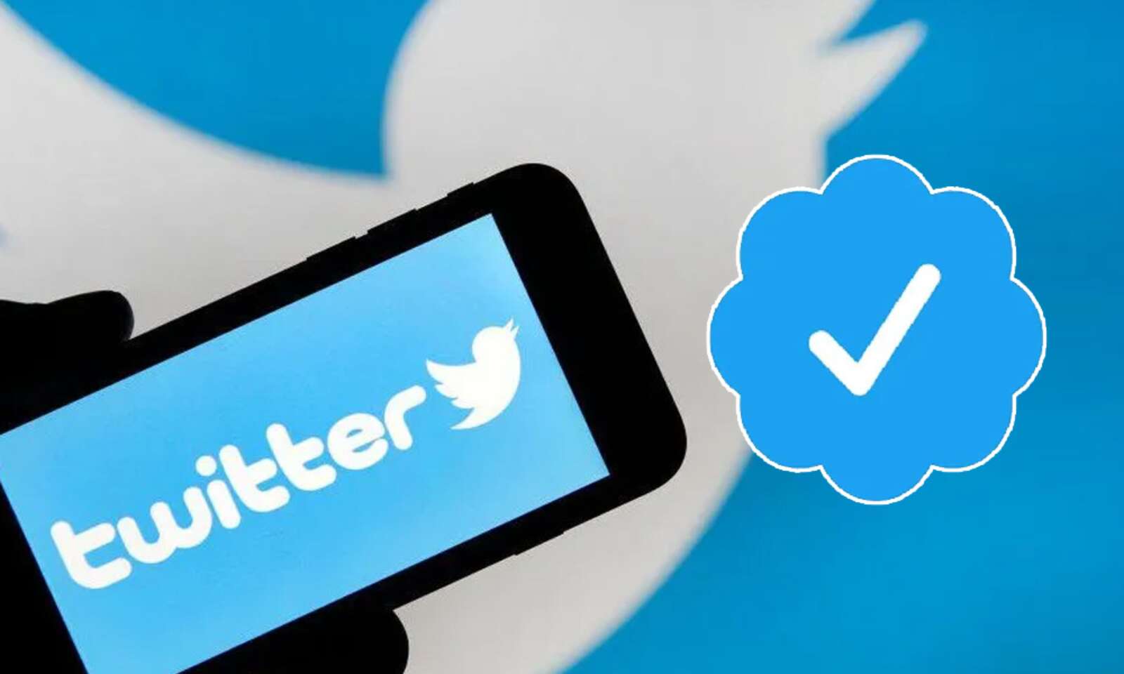 Twitter Blue Tick Prises, ट्विटर ब्लूटिक की कीमतों का ऐलान, चुकाने पड़ सकते हैं....