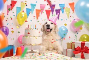 Dog birthday wishes, कुत्ते के जन्मदिन पर शानदार पार्टी, तीन सौ लोगों में बाटा कार्ड