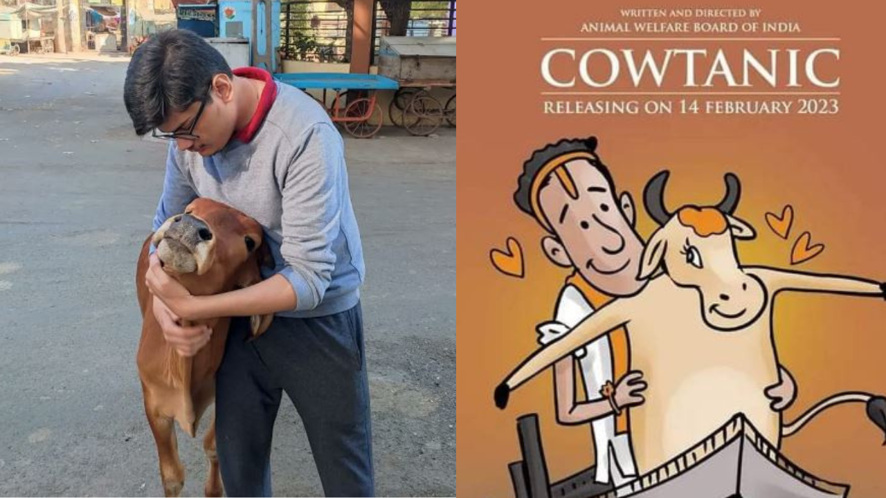 Viral News In Hindi, वैलेंटाइन वीक और गाय की KISS , ट्विटर पर हो रहा है जमकर