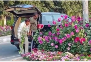 Viral luxury thief video, गमले चुराने आए लग्जरी कार से, जी-20 के लिए रखे पौधों ...