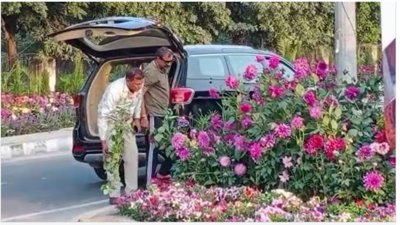 Viral luxury thief video, गमले चुराने आए लग्जरी कार से, जी-20 के लिए रखे पौधों ...