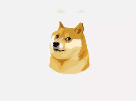 Twitter new logo, ट्विटर की चिड़िया की जगह क्यों दिख रहा है DOG ? | twitter dog