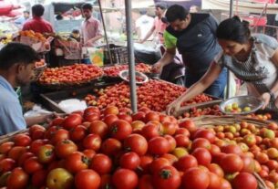 Monsoon rains bring respite from heat, but tomato rates increase heat