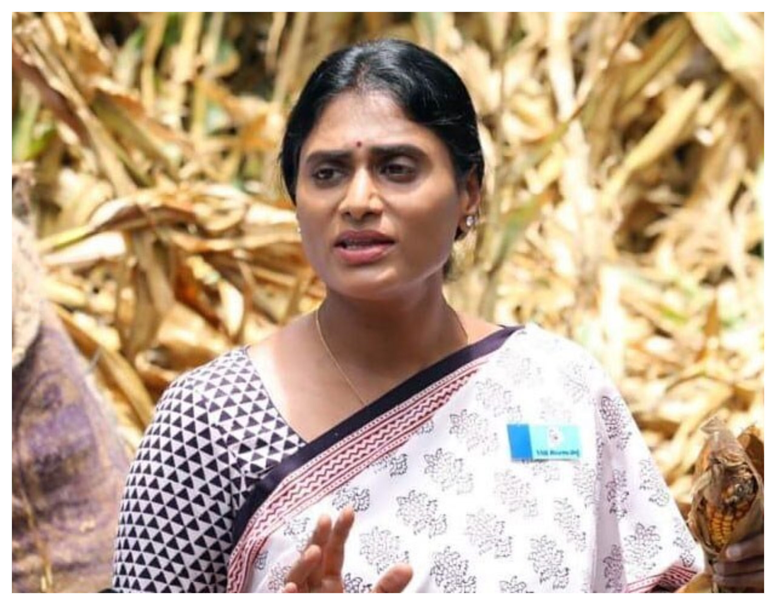 Andhra Pradesh: TDP and YSRCP did not fight for the state's special status: AP Congress President Sharmila, Andhra Pradesh news in hindi