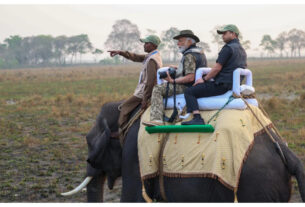 PM Modi enjoyed jungle safari in Kaziranga National Park, Assam