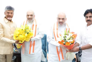 BJP-TDP alliance for Lok Sabha and Assembly elections, Naidu predicts massive victoryBJP-TDP alliance for Lok Sabha and Assembly elections, Naidu predicts massive victory