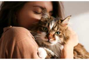 Schizophrenia: People who keep cats should be careful, they can become victims of this dangerous disease, mental-health-cats-increase-schizophrenia-risk