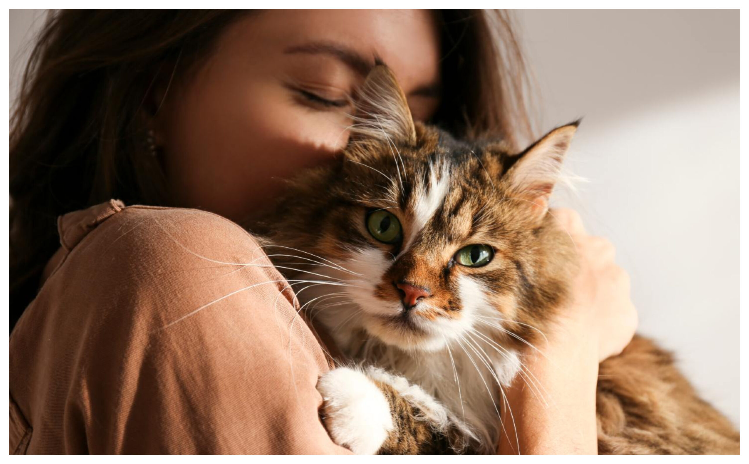 Schizophrenia: People who keep cats should be careful, they can become victims of this dangerous disease, mental-health-cats-increase-schizophrenia-risk