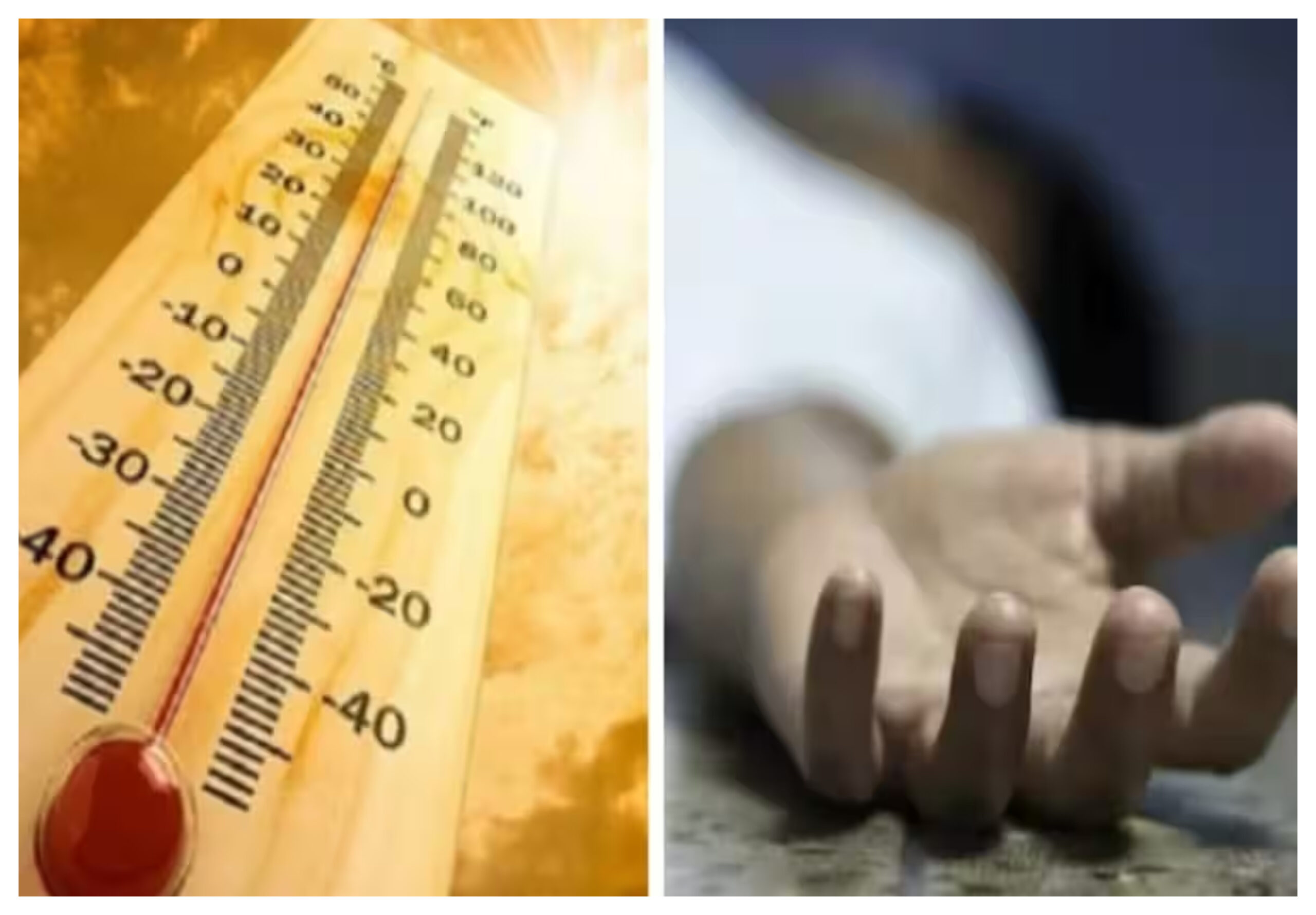 Heat Wave: Death can occur due to heat stroke, know its symptoms and measures to avoid it. totaltv news in hindi, Heat Wave, garmi ke karan maut, garmi se bachne ke upay