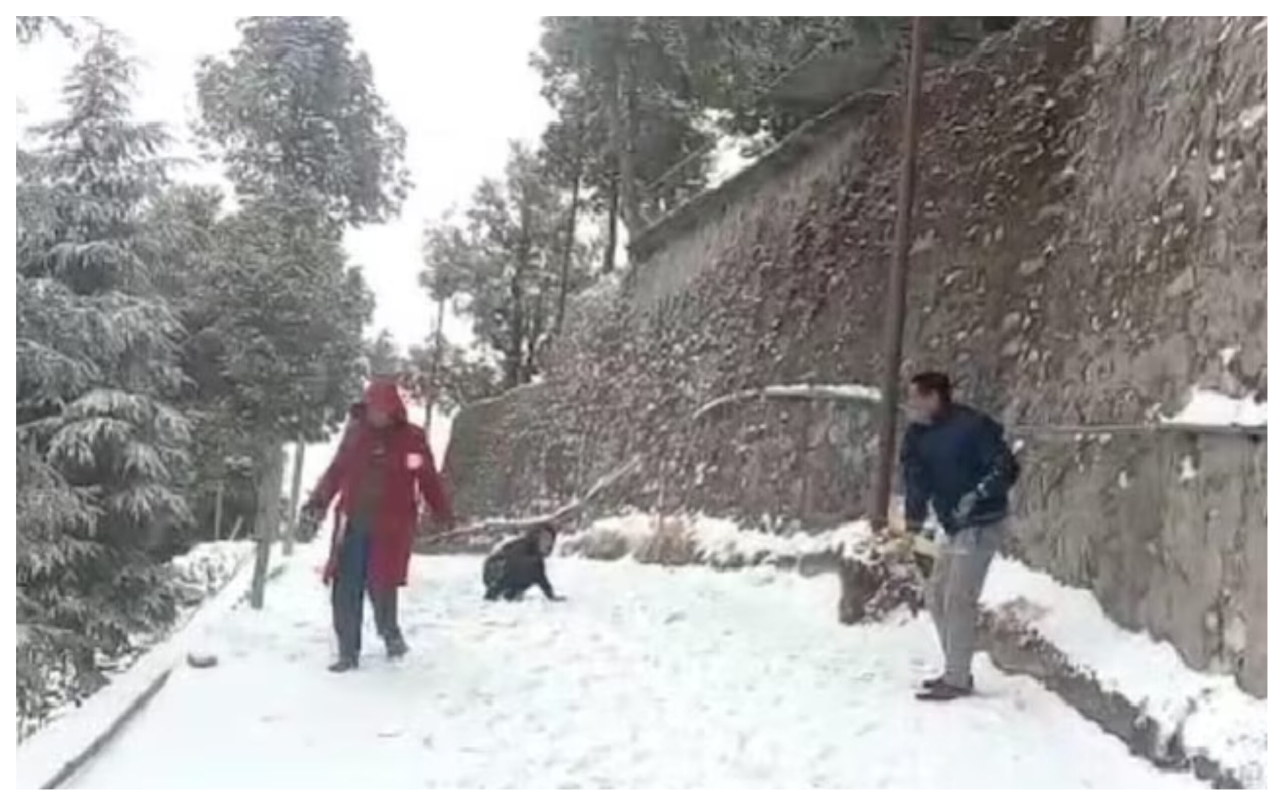 Uttarakhand: Tourists flock to Nainital to get relief from the heat, #uttarakhand #nainital ##weather #snowfall #UttarakhandNews-youtube-facebook-google-amazon,Uttarakhand Weather , Uttarakhand Weather Update , Uttarakhand Weather Today , Uttarakhand Weather Update Today , Today Uttarakhand Weather , Uttarakhand Aaj Ka Mausam , Uttarakhand Weather Forecast , Uttarakhand Snowfall , Snowfall Today in Uttarakhand