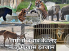 Weather: Not only humans but also animals are troubled by the increasing heat, special arrangements made for protection in the zoo, zoo, weather, delhi news, aaj ka mausam, delhi weather, tempreature, heatwave, heat, summer, animals, #zoo, #delhi, #weather, #WeatherUpdate, #summer, #rain, #heatstroke, #heat, #animals, #temperature-youtube-facebook-twitter-amazon-google-totaltv live, total news in hindi