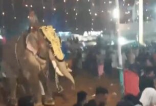 kerala-news-elephant-creates-ruckus-during-religious-function-in-malappuram-23-people-injured-kerala-malappuram-bp-angadi-tirur-elephant-attack-malappuram-mosque-festival-elephant-attack-keral