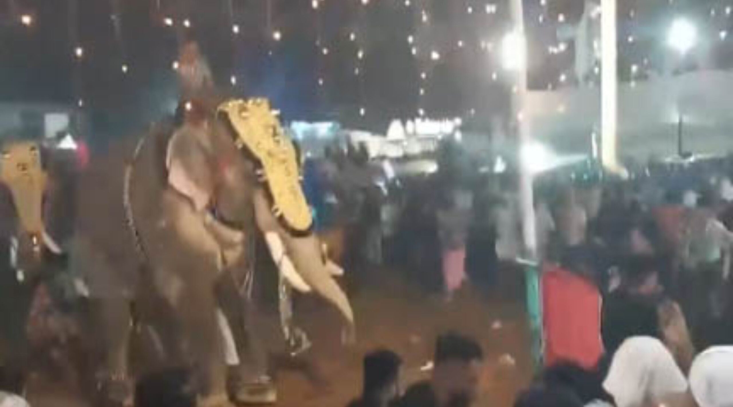 kerala-news-elephant-creates-ruckus-during-religious-function-in-malappuram-23-people-injured-kerala-malappuram-bp-angadi-tirur-elephant-attack-malappuram-mosque-festival-elephant-attack-keral