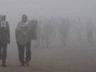 weather-update-severe-cold-in-many-areas-visibility-reduced-due-to-dense-fog, weather, rain, IMD, weather, rain, temperature, weather department, today's weather