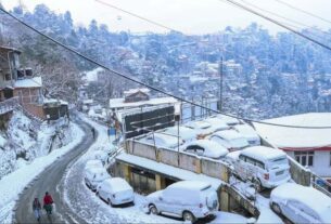 Weather Update: Heavy snowfall in hilly areas, tourists stranded in Shimla-Kufri due to vehicle slipping, Himachal weather, himachal weather forecast, himachal weather news, himachal weather today, himachal weather update, himachal weather report, rainfall shimla, shimla weather, shimla rain, weather today, Himachal Pradesh News in Hindi, Latest Himachal Pradesh News in Hindi, Himachal Pradesh Hindi Samachar