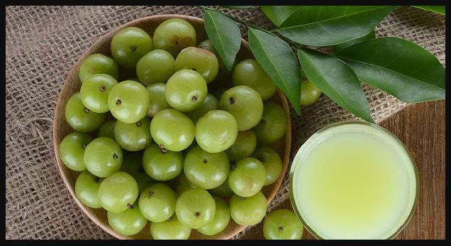 #Amla #IndianGooseberry #AmlaBenefits #AmlaForHealth #AmlaRecipe #AmlaJuice #AmlaSupplements #AmlaForSkin #AmlaForHair #AmlaForImmunity