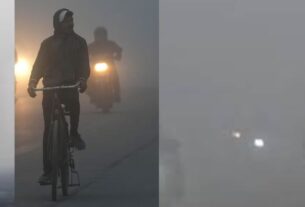 Delhi Cold wave News:
