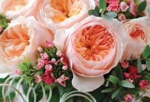 Rose Day: Valentine's Day begins with Rose Day, the price of the world's most expensive rose will blow your mind... rose day, happy rose day, rose day status, rose day, rose day, rose day gf bf, rose day craft, rose day songs, rose day reply, rose day stuats, rose day quotes, red rose,happy rose day , rose day comedy, rose day special, Juliet Rose, what is Juliet Rose, prize of Juliet Rose, most expensive rose, why is Juliet Rose expensive