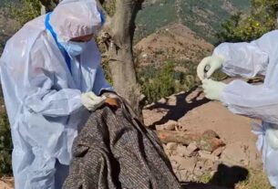 Jammu Kashmir: Raid on pesticide and fertilizer shops in Rajouri, action taken in case of 17 mysterious deaths,
