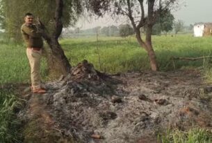 Crime News: Dowry becomes evil, in-laws murder woman, Rajasthan Murder Case, Dholpur Murder Case, Dholpur Crime News, Dholpur News, Rajasthan Crime News, Rajasthan News