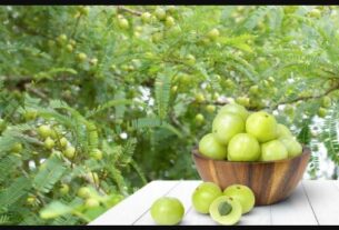 Amla leaves, Amla, Amla leaves health benefits, Amla health benefits, benefits of Amla, health, remove dirt, healthy lifestyle, lifestyle, medicinal properties, Health, LIfestyle,