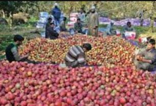 #HimachalPradesh, #AppleFarmers, #LowYield, #ClimateImpact, #RainfallDeficiency, #AgricultureChallenges, #FarmersStruggles, #AppleProduction, #SustainableFarming, #SupportFarmers,
