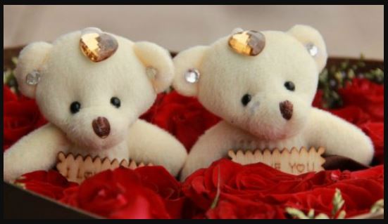 Teddy Day Shayari for Boys Girls , Teddy Day Boys Girls Shayari , Teddy Day Shayari for Boyfriend Girlfriend , Teddy Day 2025 Shayari for Husband Wife , Teddy Day 2025 Shayari for Loved once ,