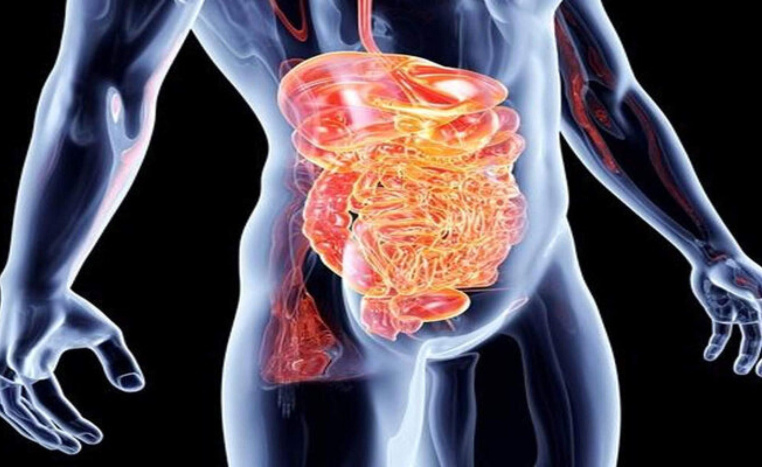 Digestive System: Health of digestive system... the key to health, know how to keep it healthy, What is gut health, How to improve gut health naturally, Worst foods for gut health, Top 10 foods for gut health, 7 worst foods for gut health, How to improve gut health and bloating, What is gut health, why is gut health bad