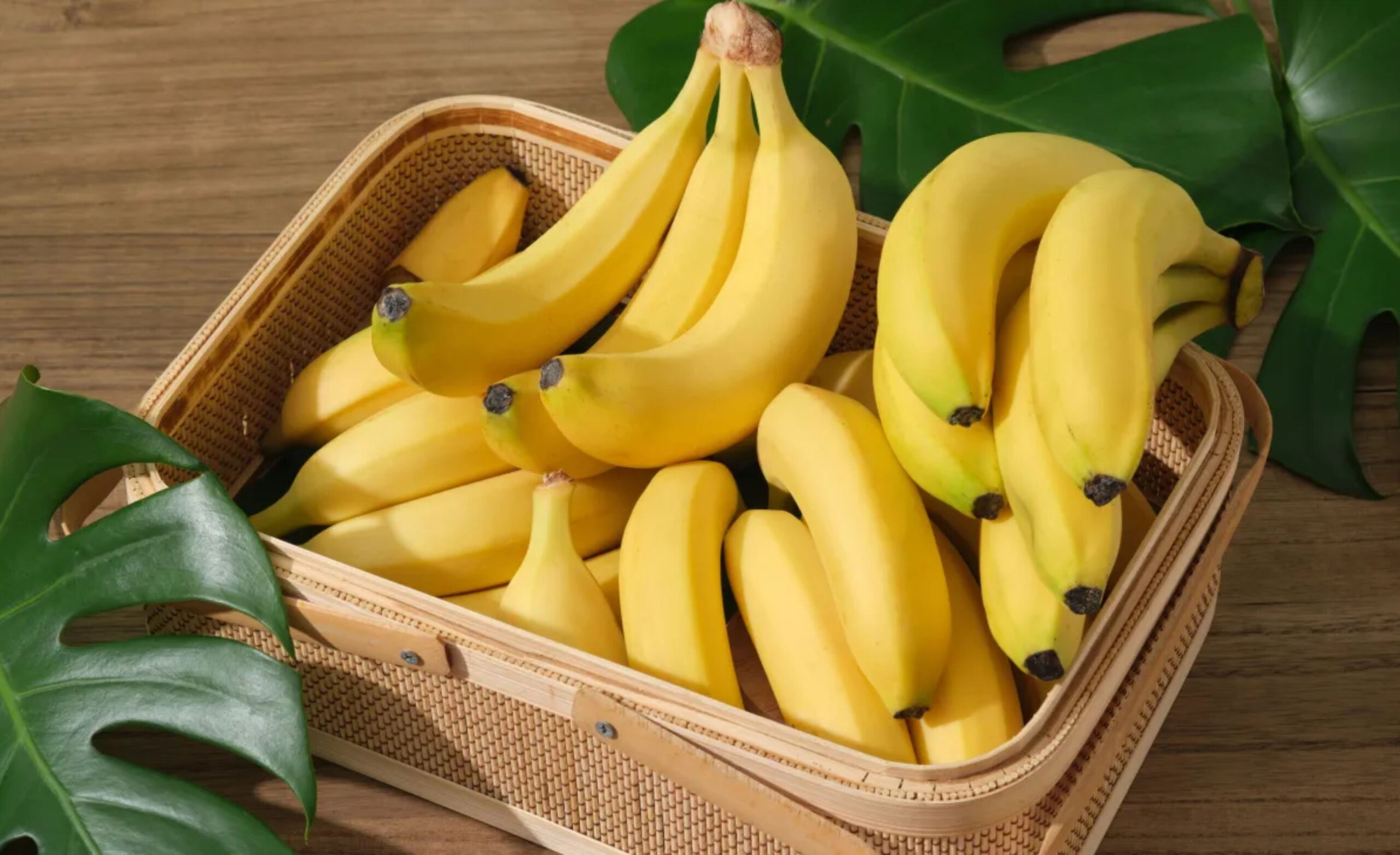 Health Tips: One fruit has many benefits! It can keep you healthy from gut health to heart health... banana, banana health benefits, how to eat banana, health benefits of banana, why to eat banana, reasons to consume banana, kela khane ke fayde, benefits of eating banana, banana is a boon for health, way to eat banana