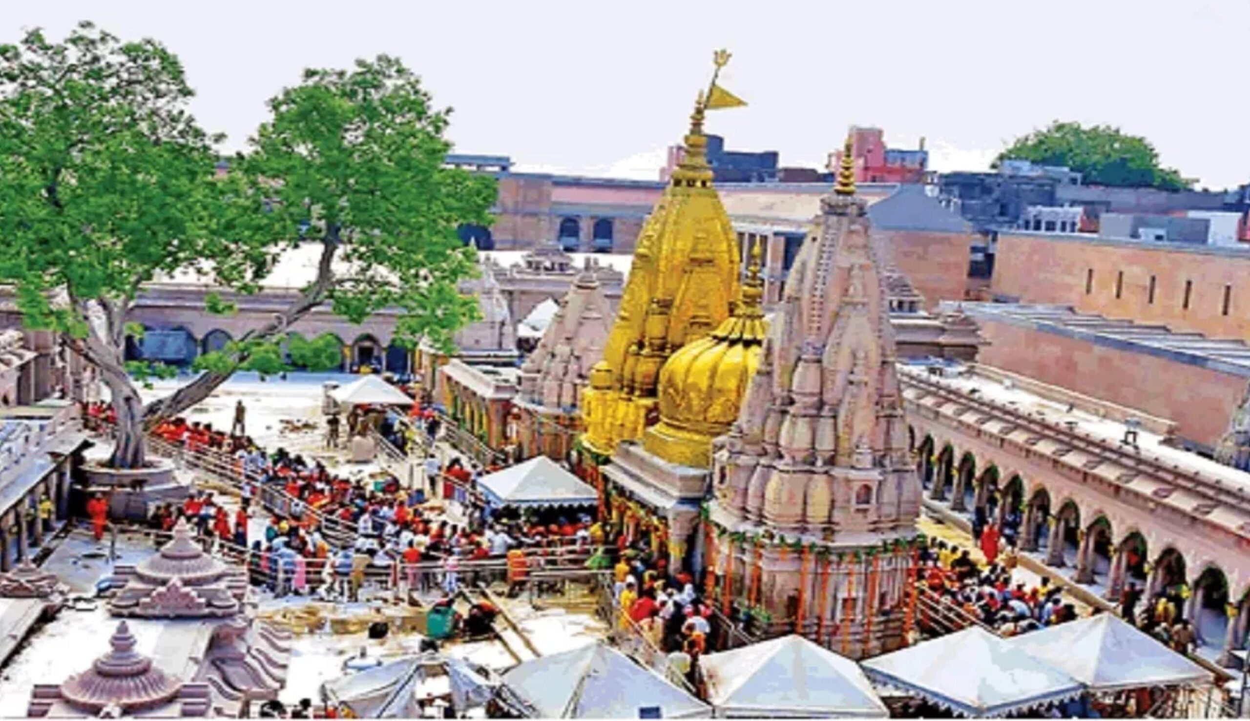 Women's Day: Special arrangements for women devotees to visit Kashi Vishwanath temple, Varanasi News, Baba Vishwanath Darshan, womens day, 8 march, varanasi kashi news