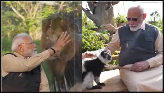 PM Modi vantara, PM Modi vantara visit,Pm modi in vantara,pm modi in gujarat,Modi vanatara visit, Vantara animal rescue , PM Modi Modi Jamnagar, latest news in hindi,