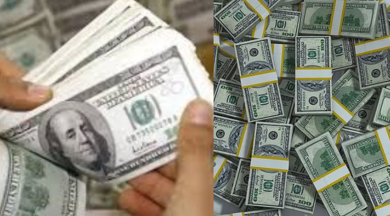 Foreign Exchange Reserves :