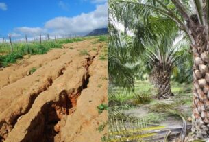 Social Erosion News: