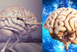 Brain Health