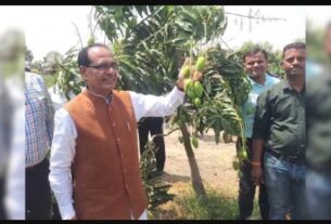 #ShivrajSinghChouhan, #BrazilTomatoFarm, #AgriculturalInnovation, #MechanizedFarming, #SustainableAgriculture, #FarmingTechnology, #CropProduction, #AgriTech #FarmVisit, #GlobalAgriculture, #FoodSecurity, #ModernFarming,