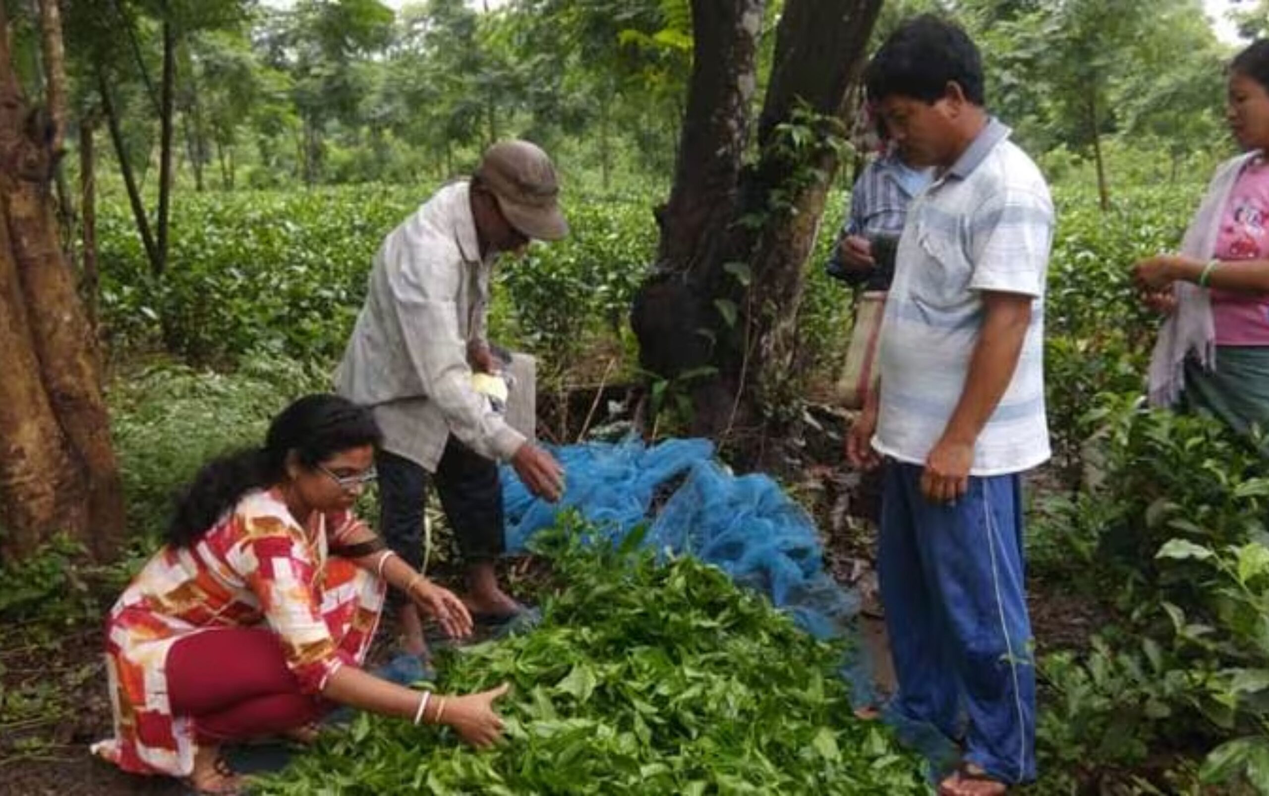 Tripura News: Two people arrested in the case of beating a driver to death in a tea garden, investigation continues,