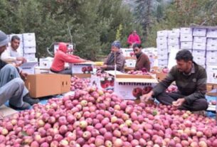 Farmers Strike,apple farmers protest India,apple import duty hike,AFFI farmers strike,Himachal apple growers,Kashmir apple farmers,apple MSP demand,July 9 farmers strike,apple import from USA,agriculture subsidy India,fruit farmers movement,हड़ताल,भारतीय सेब किसान महासंघ,जम्मू-कश्मीर