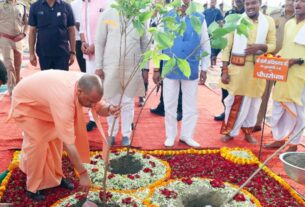 Uttar Pradesh: CM Yogi planted a tree in Ayodhya under the campaign 'One tree in the name of mother',